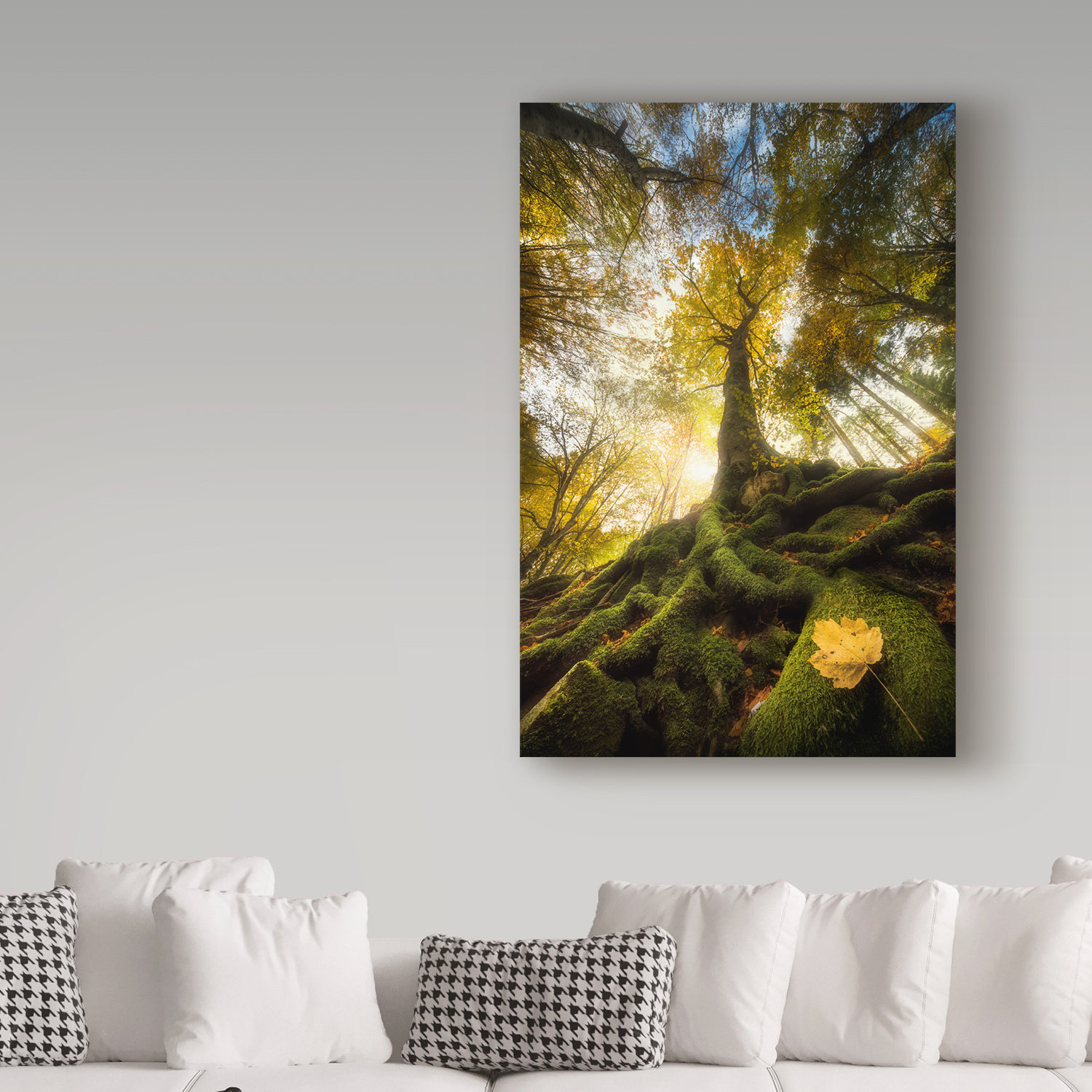 Trademark Fine Art 'The Goodbye of a Leaf' Photographic Print on
